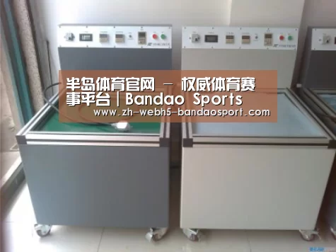 半岛体育网址案例展示二(图1)