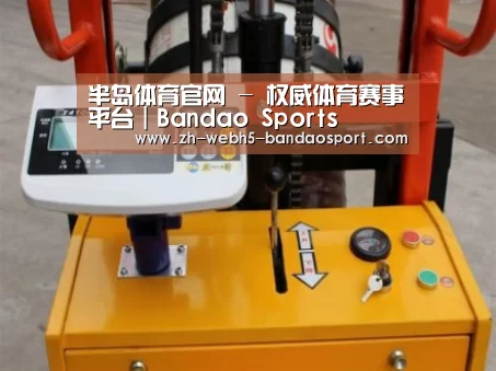 半岛体育网址案例展示三