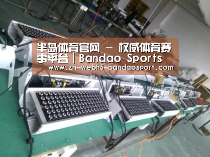 半岛体育网址案例展示一