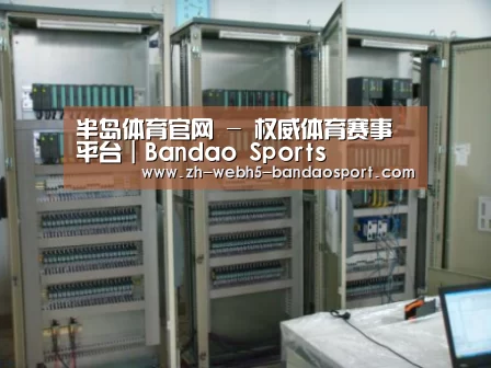 半岛体育网址案例展示五(图1)