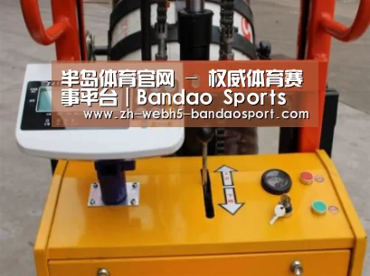 半岛体育网址案例展示三(图1)