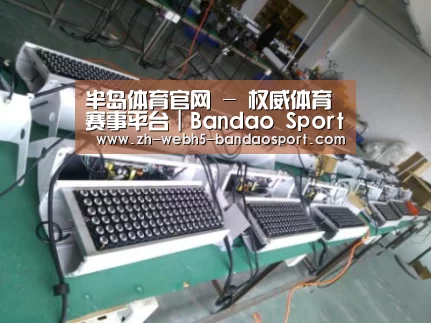 半岛体育网址案例展示一(图1)