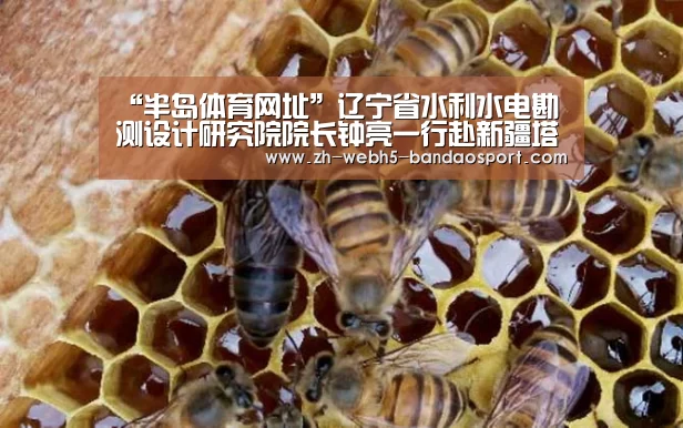 “半岛体育网址”辽宁省水利水电勘测设计研究院院长钟亮一行赴新疆塔城地区调研(图2)